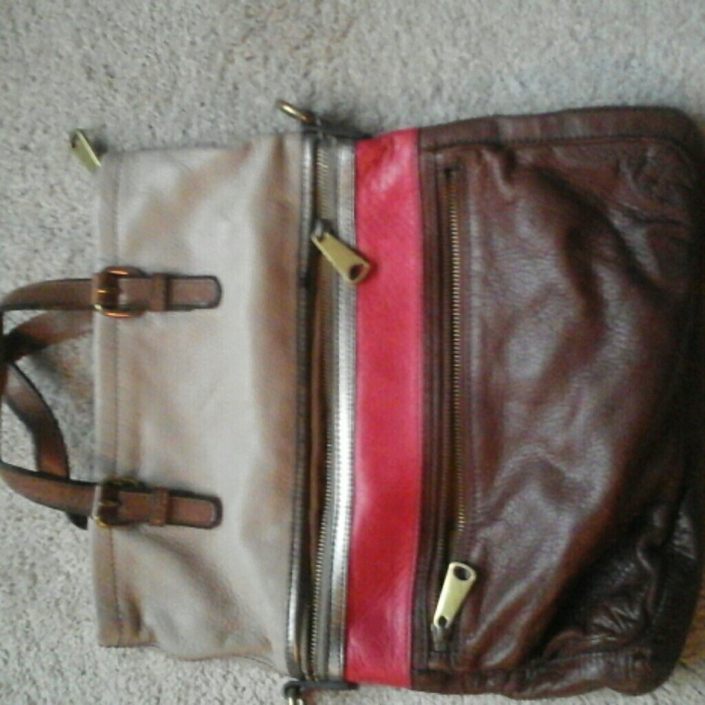 Fossil explorer colorblock tote